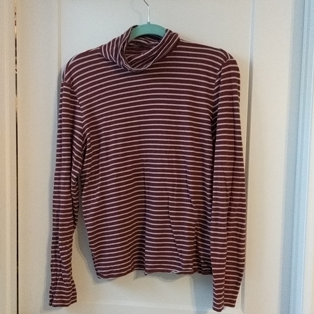 Everlane Turtleneck (XL)